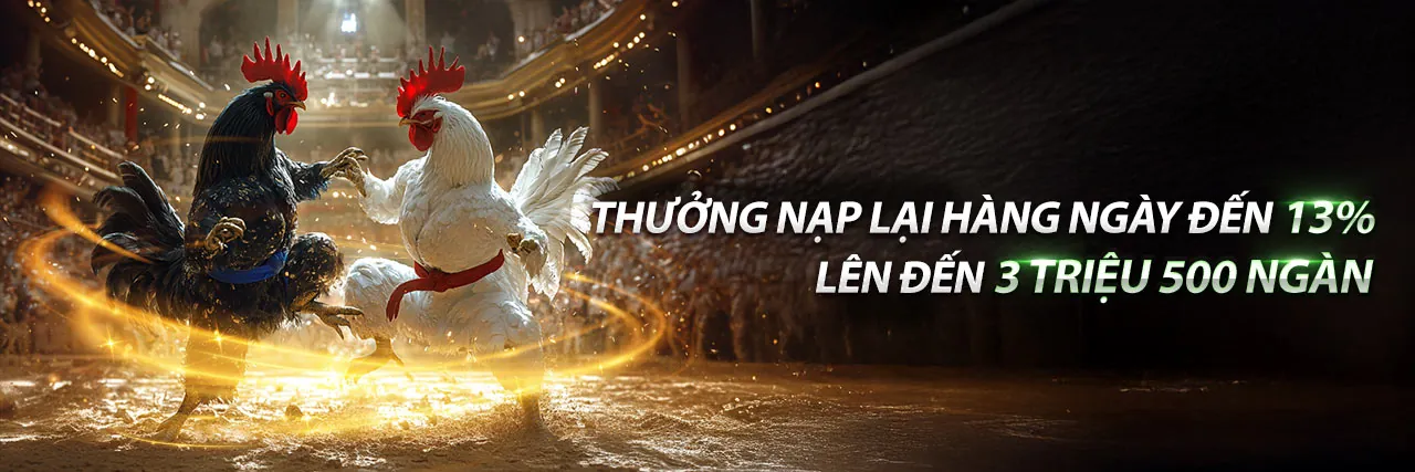Đá gà trực tuyến kịch tính tại f18678 hiện đang mở